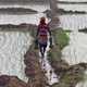 The obvious response to pollution caused by stubble burning has been to blame it on the farmers.